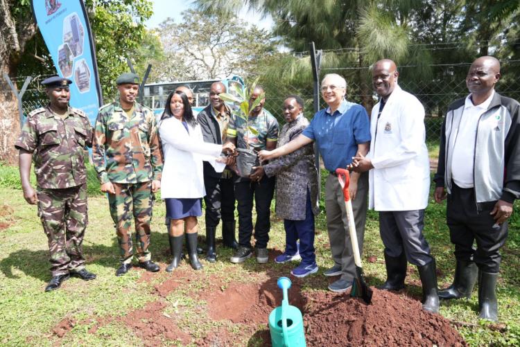 Tree Growing at the Upper Kabete Campus 
